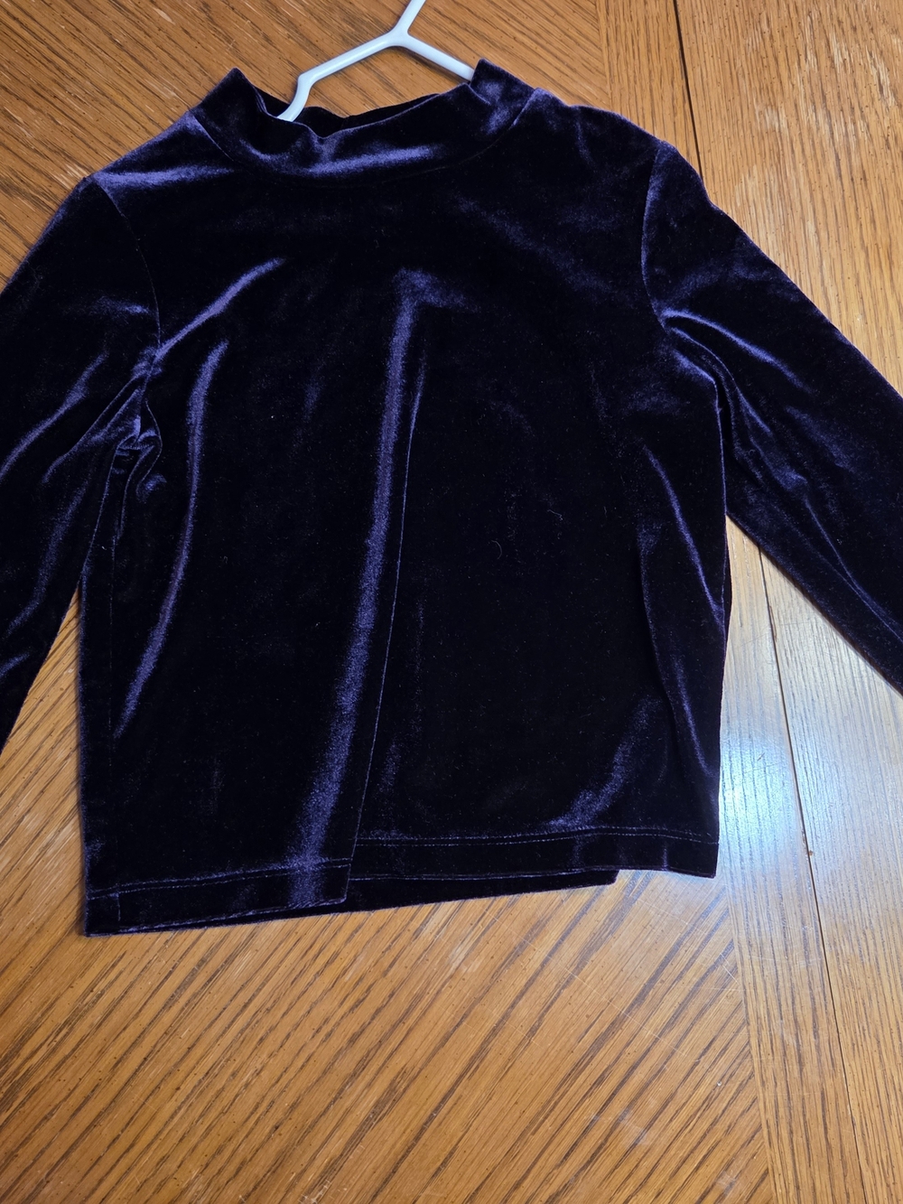 Velvet Mock Neck Long Sleeve Top - Deep Plum